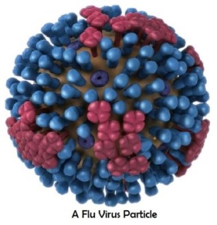 fluvirus