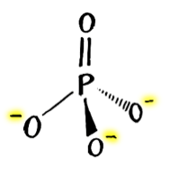 Fig1