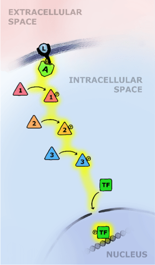 Fig3