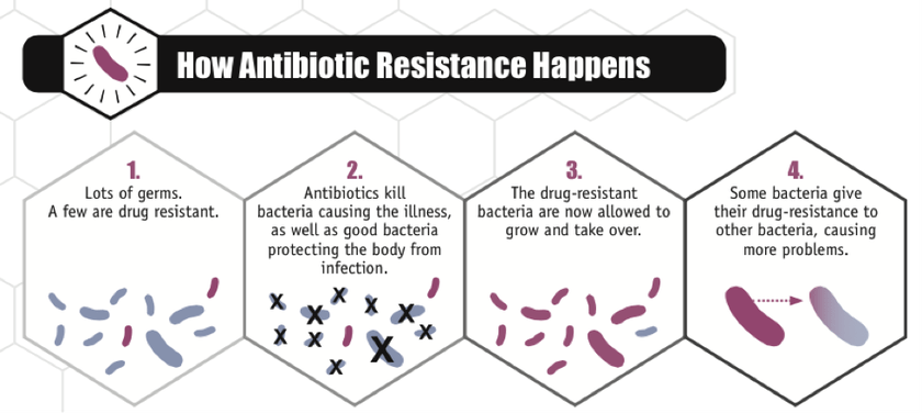 how-antibiotic-resistance.png