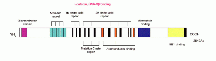 punto2_fig1.gif