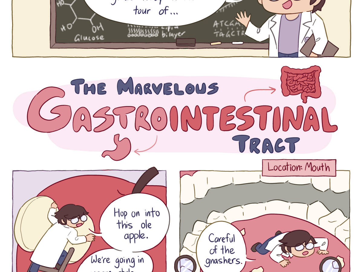 The Marvelous Gastrointestinal Tract