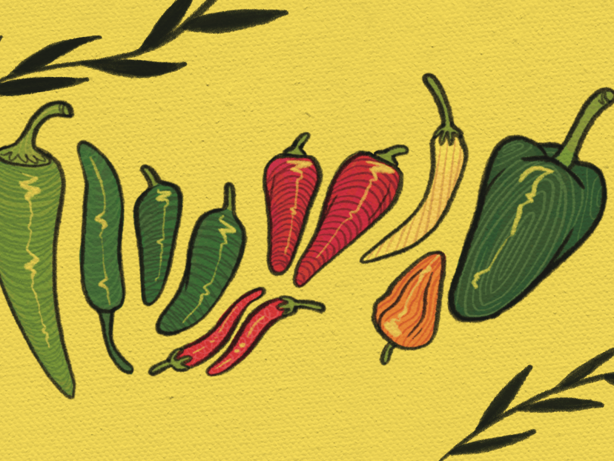 It Gets Better: A Sensory Tale of Spice
