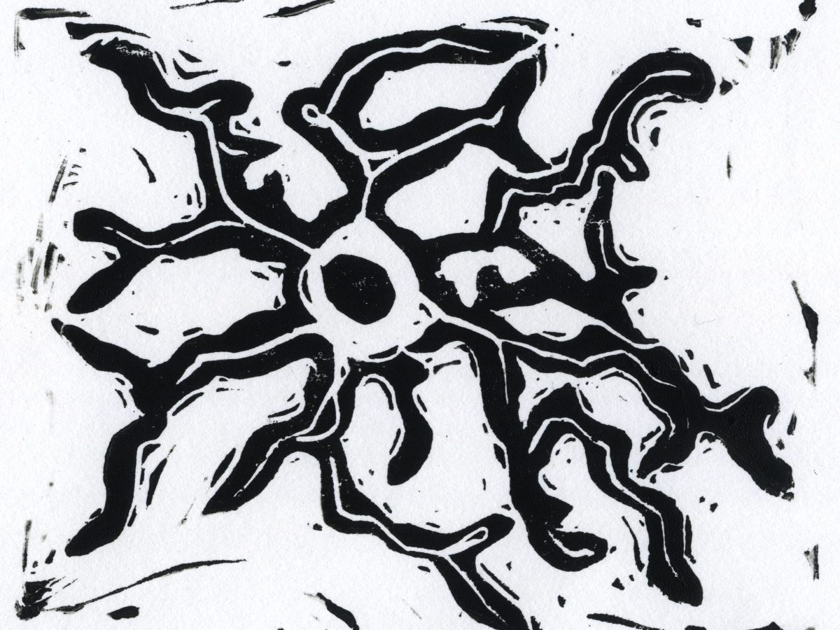 Branching Through Time: The Art & Science of Microglia
